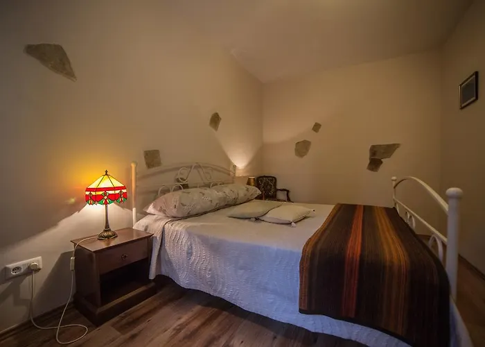 아파트 Lugano 로비니